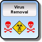 Virus Removal Experts